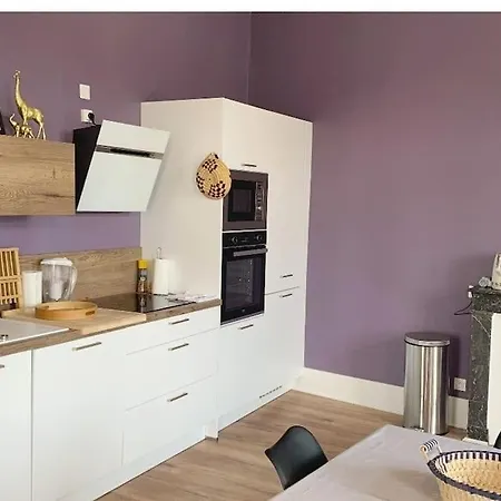 Lejlighed Large Design Apartment, 2 Bedrooms, Center Vichy